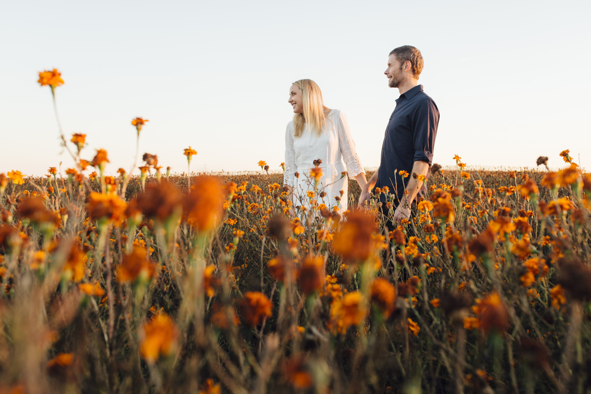 Couple in a field of flowers