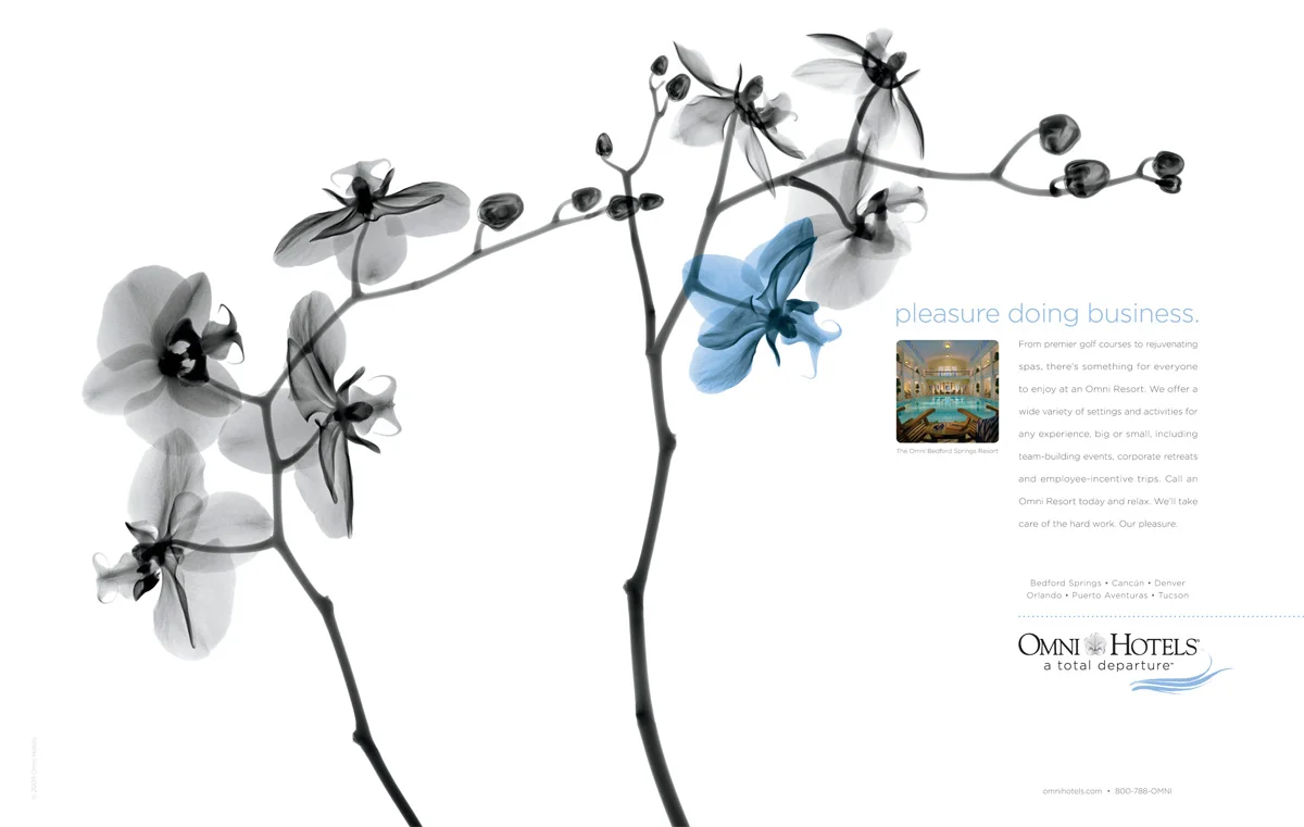 ORCHID.jpg