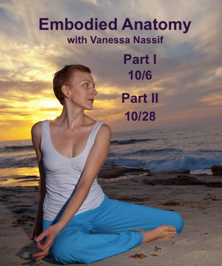 Embodied Anatomy Poster.png