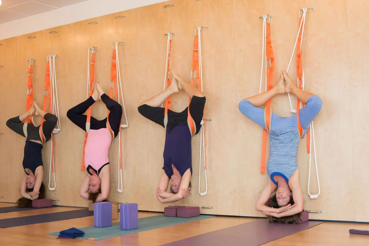 Yoga Rope Wall &amp; Slings Basic Certification
