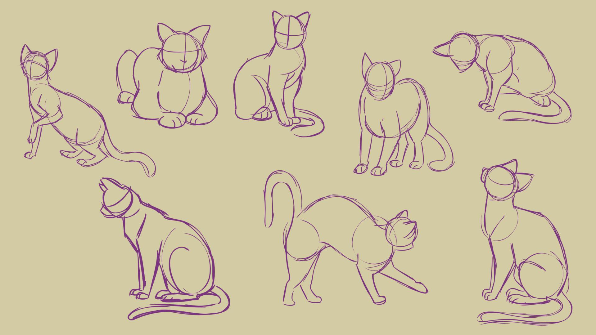 LifeDrwings 2017-001-15.jpg