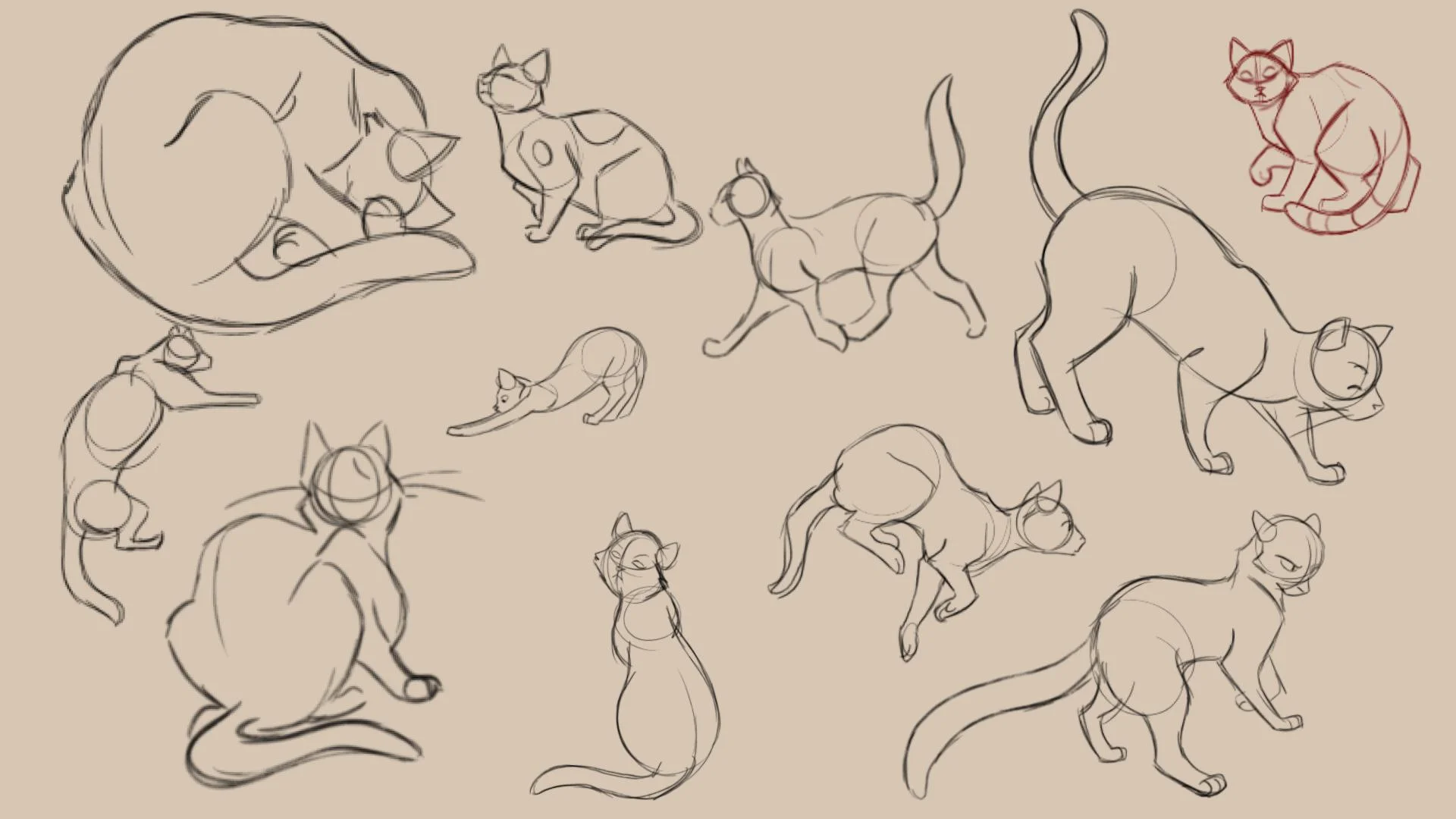 LifeDrwings 2017-001-16.jpg