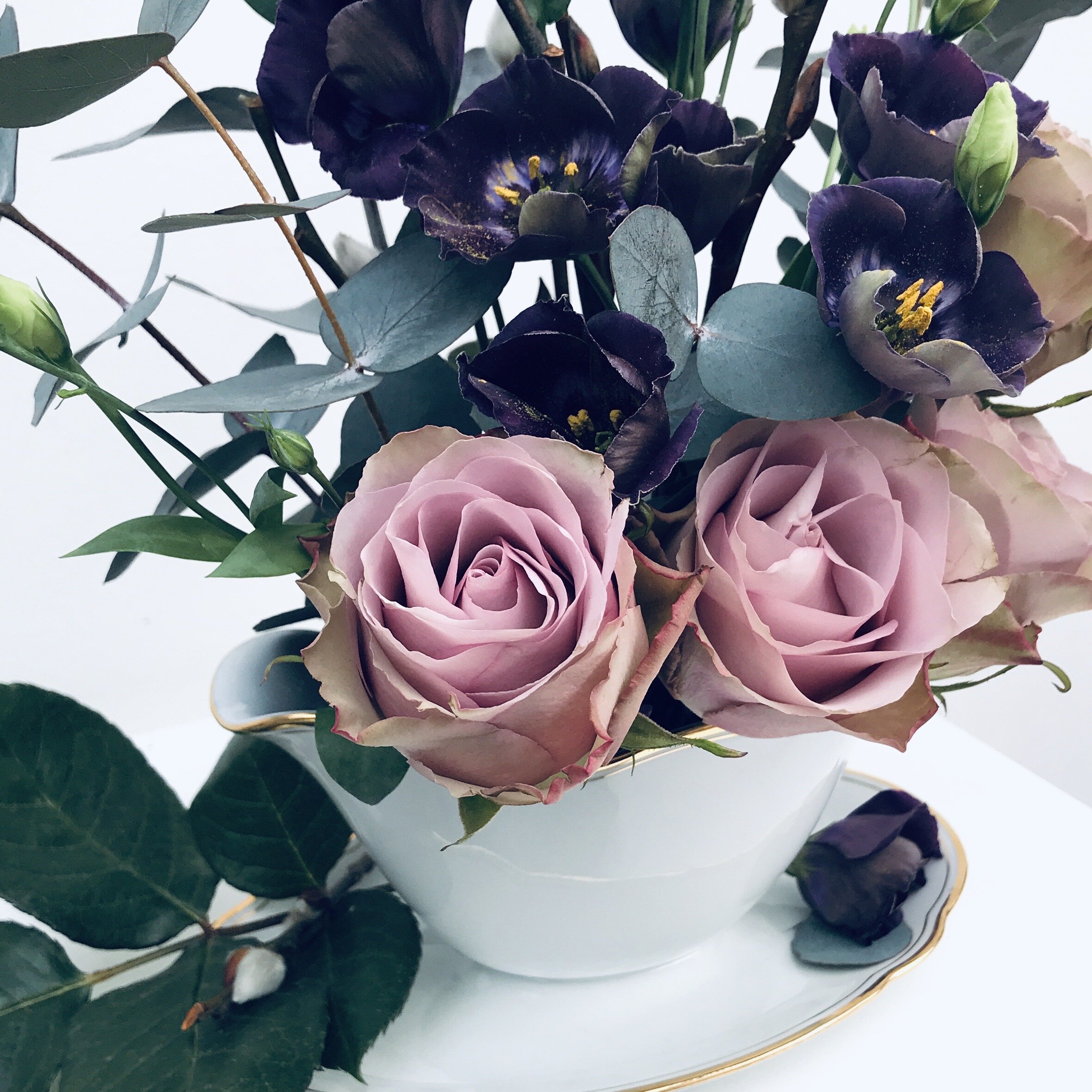 Winter Blues with Roses