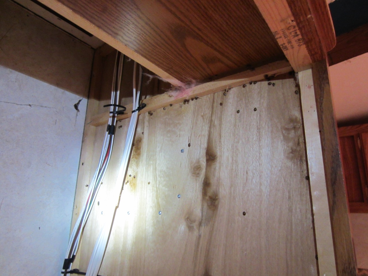 We have a ladybug infestation problem. Better ladybugs than stinkbugs!