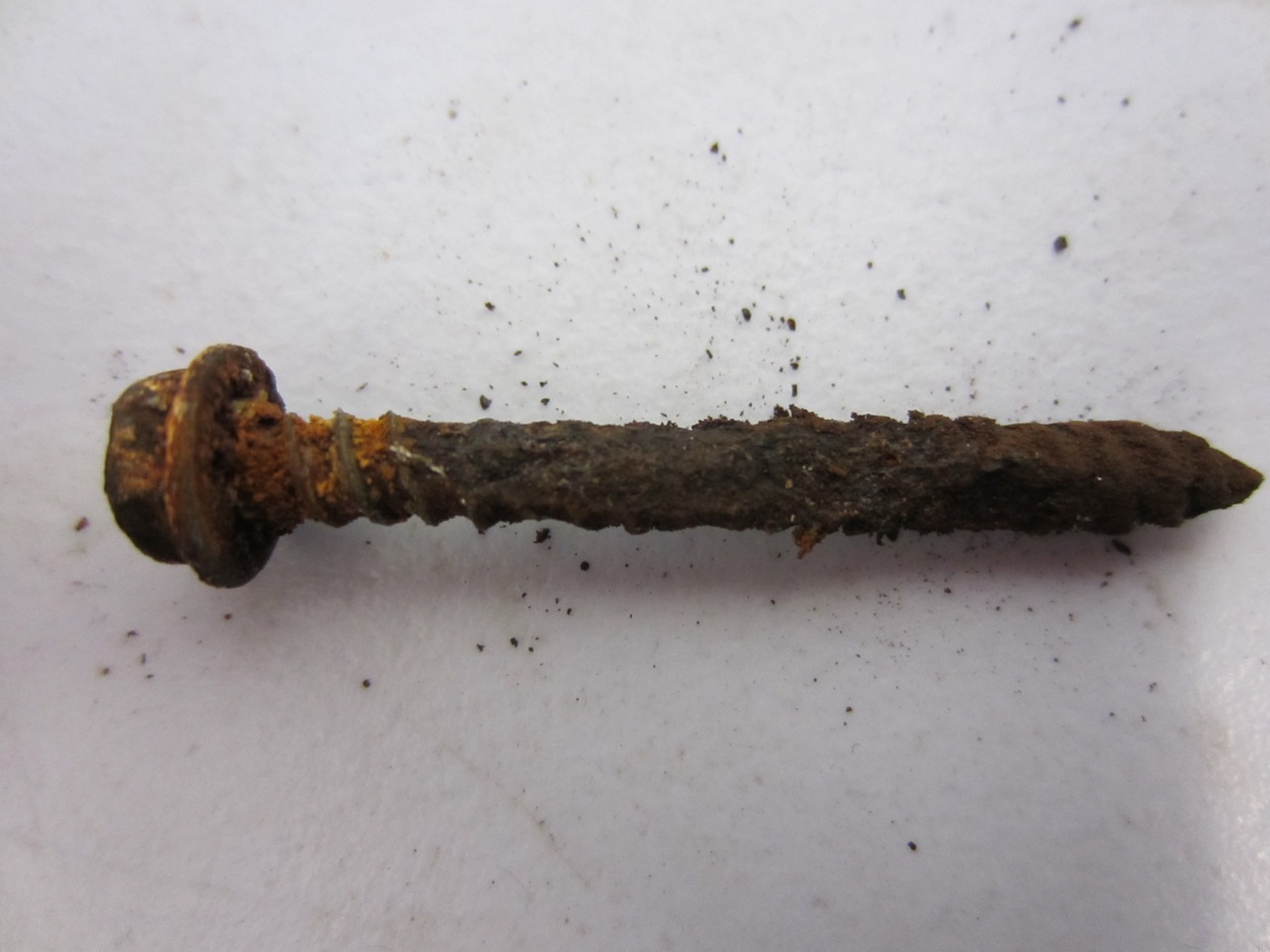  It's not good to see a screw this badly rusted come out of your RV siding. 