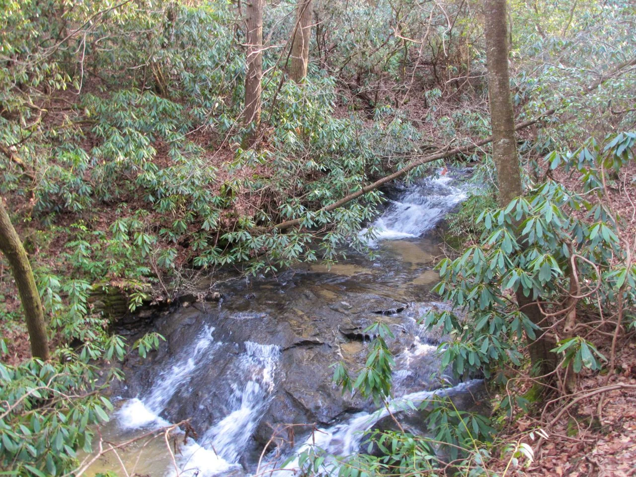 IMG_4321ml.jpg