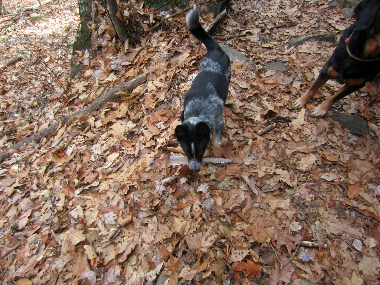 IMG_6298.jpg