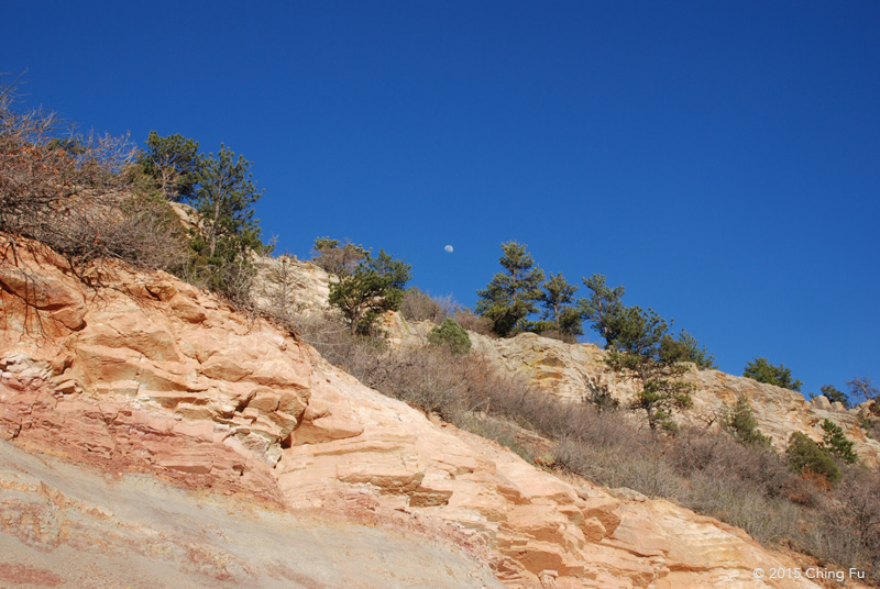 DSC_0117 copy.jpg