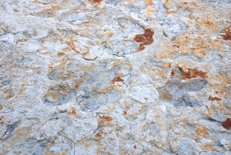 These are Dinosaur footprints...Easy to confuse, right?