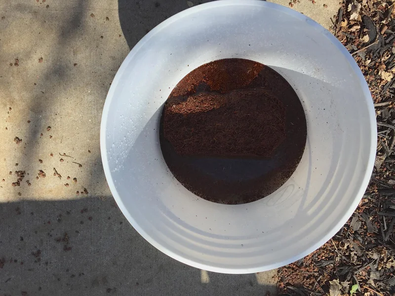 This block of coco pith is swimming in too much water.