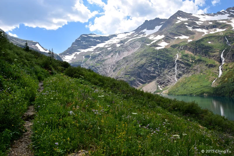 Trail up to Gunsight Pass.