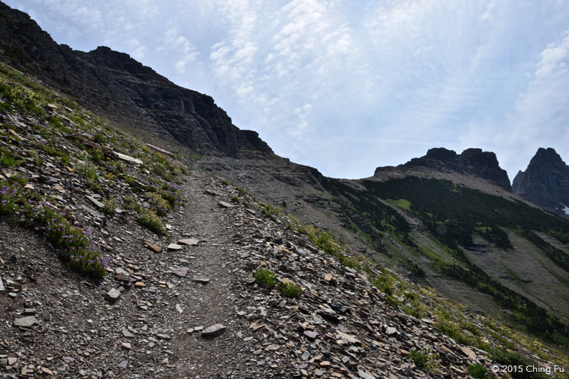  The spur trail leading to the glacier overlook. 