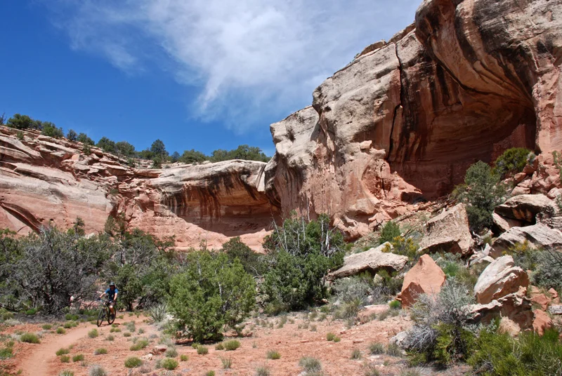 Mountain Biking With The Ancients