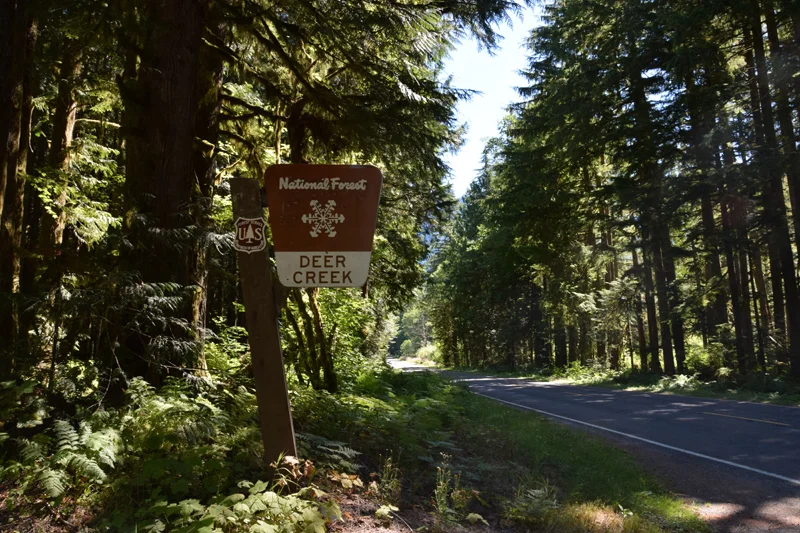 Boondocking In Mt. Baker-Snoqualmie National Forest: Mountain Loop Hwy