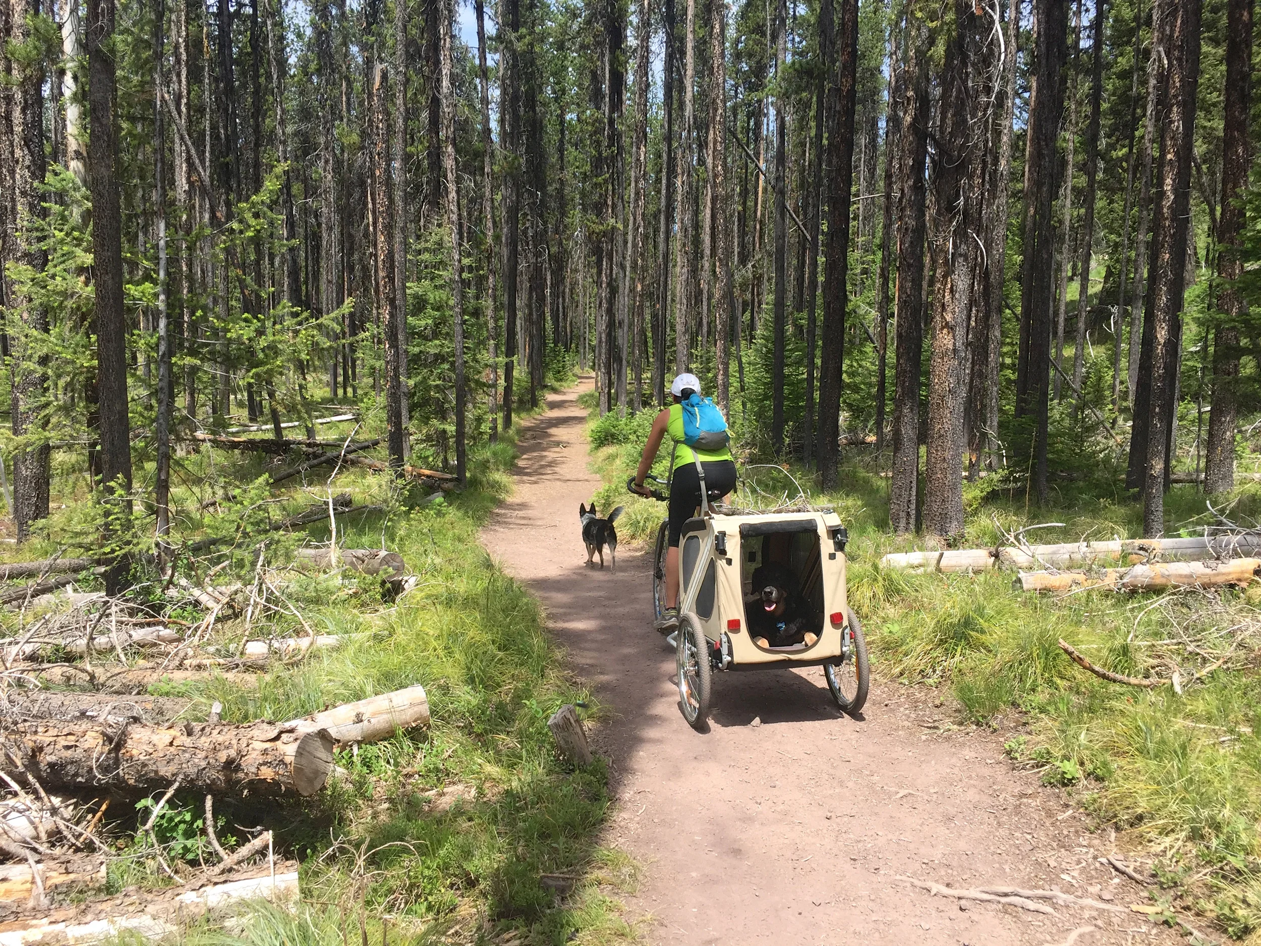 Serendipity In Seattle