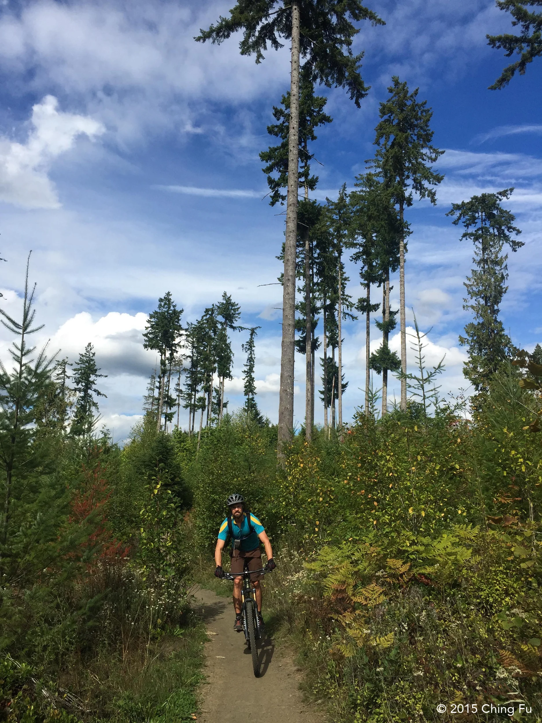 Capitol State Forest
