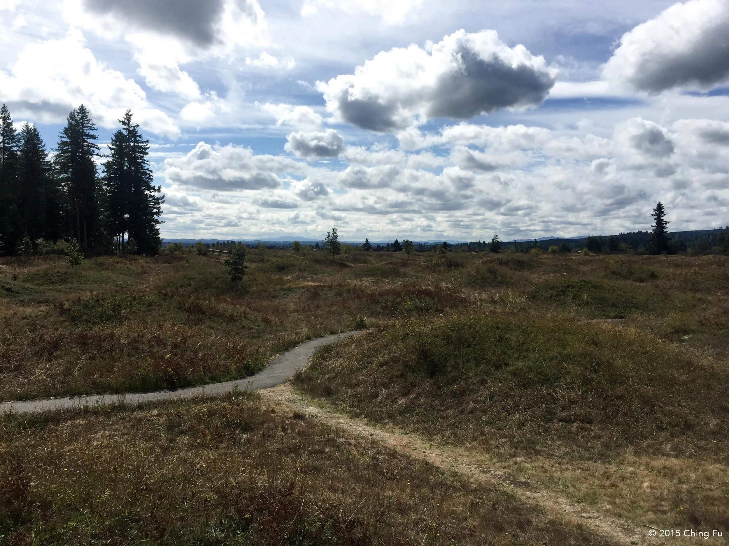 Mima Mounds Natural Area Preserve
