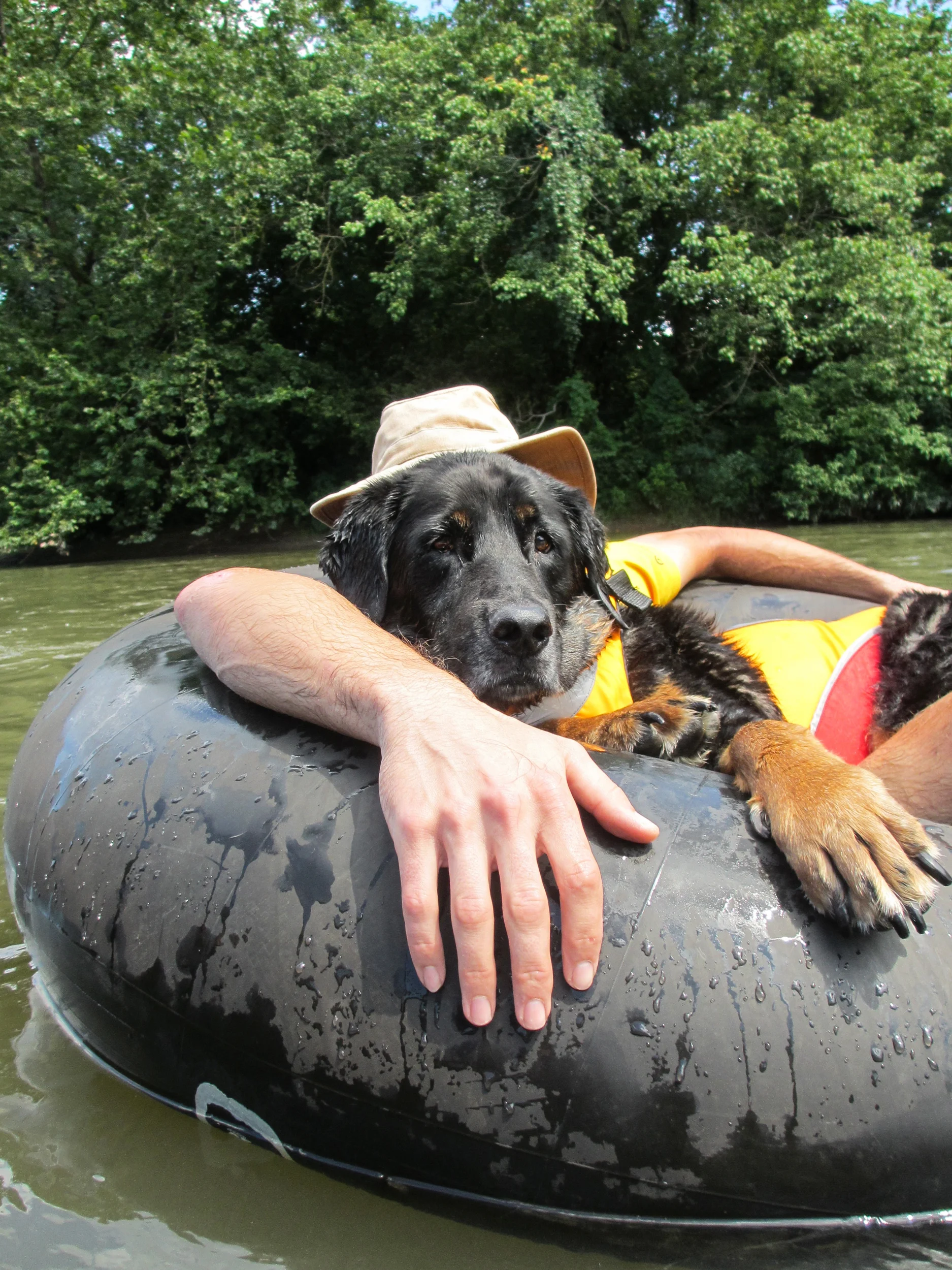 Tybee tubing down the French Broad River.