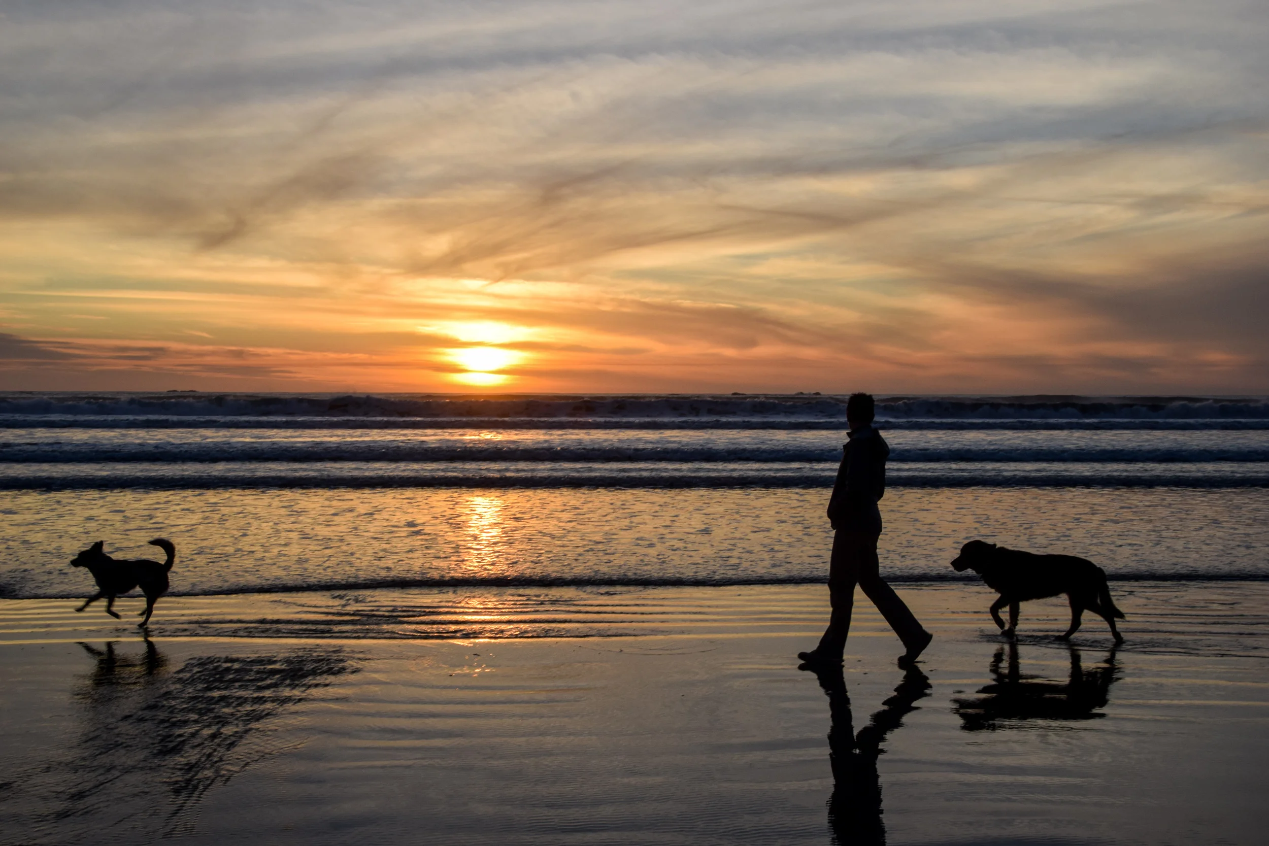 Ching, Tybee and Tyki on the beach.