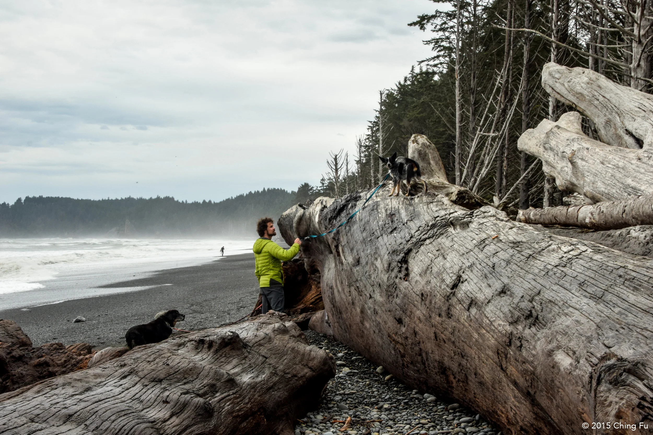 Jerud, Tybee and Tyki at Rialto Beach.