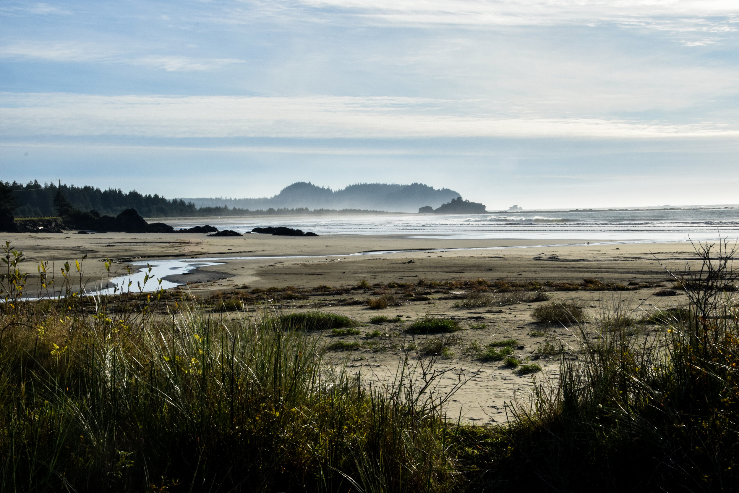Fall In Olympic Peninsula