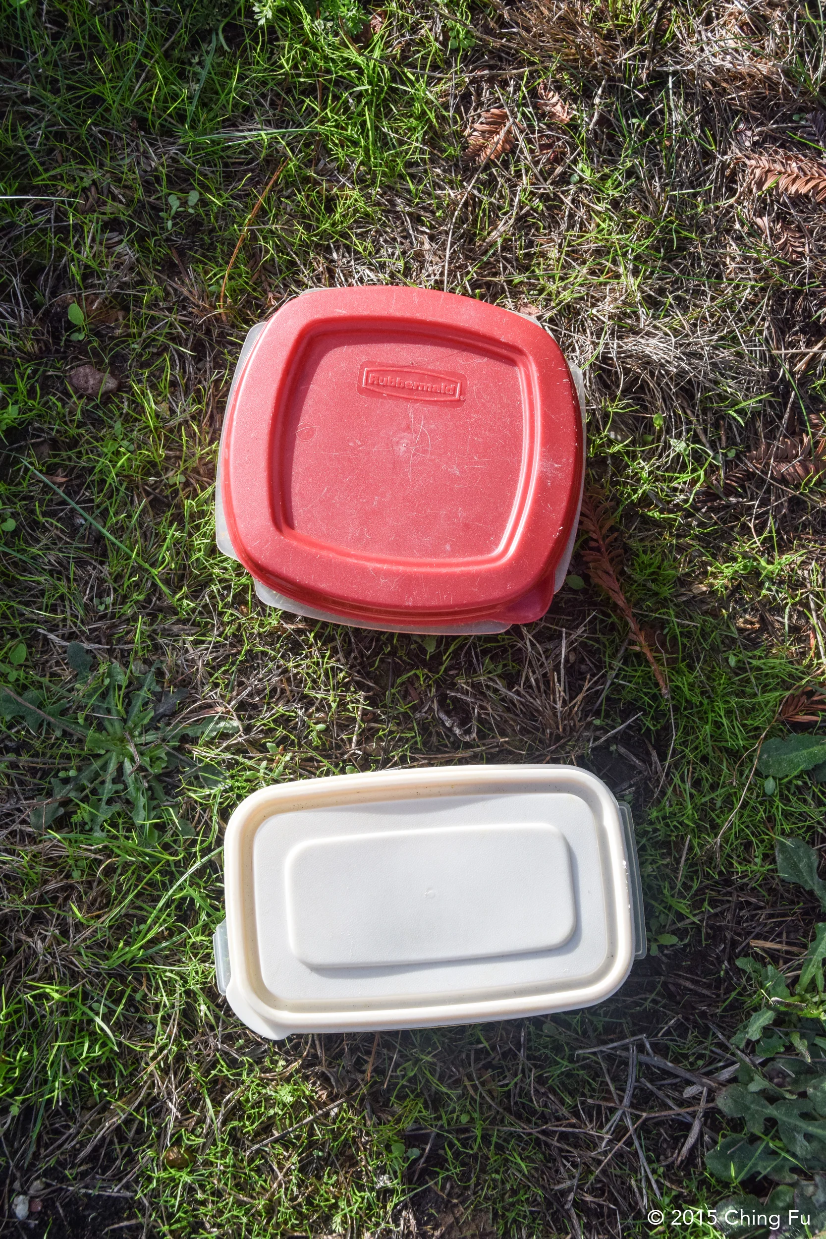 Plastic containers that we keep their dinners in which live inside the truck.