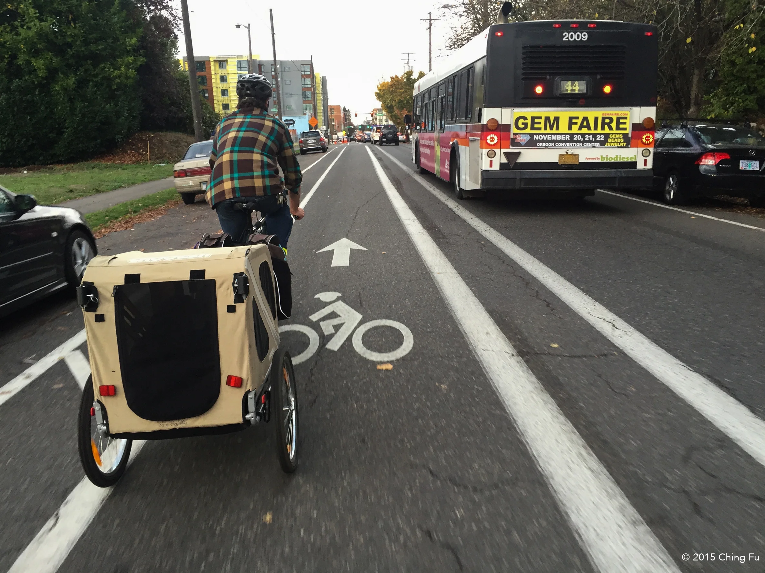 Another shot of Portland's bike lane.