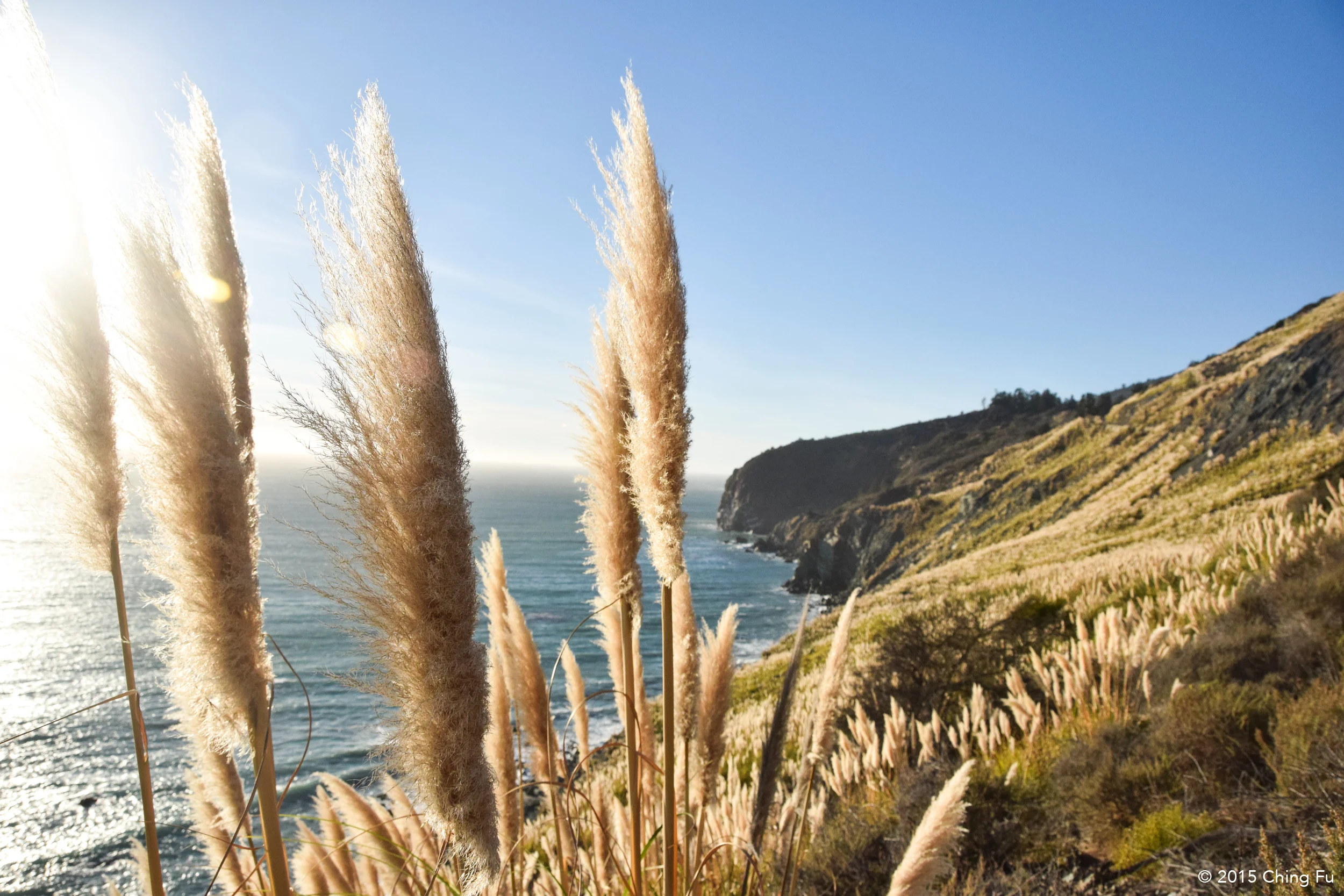 View of the Pacific coast from Hwy 1.