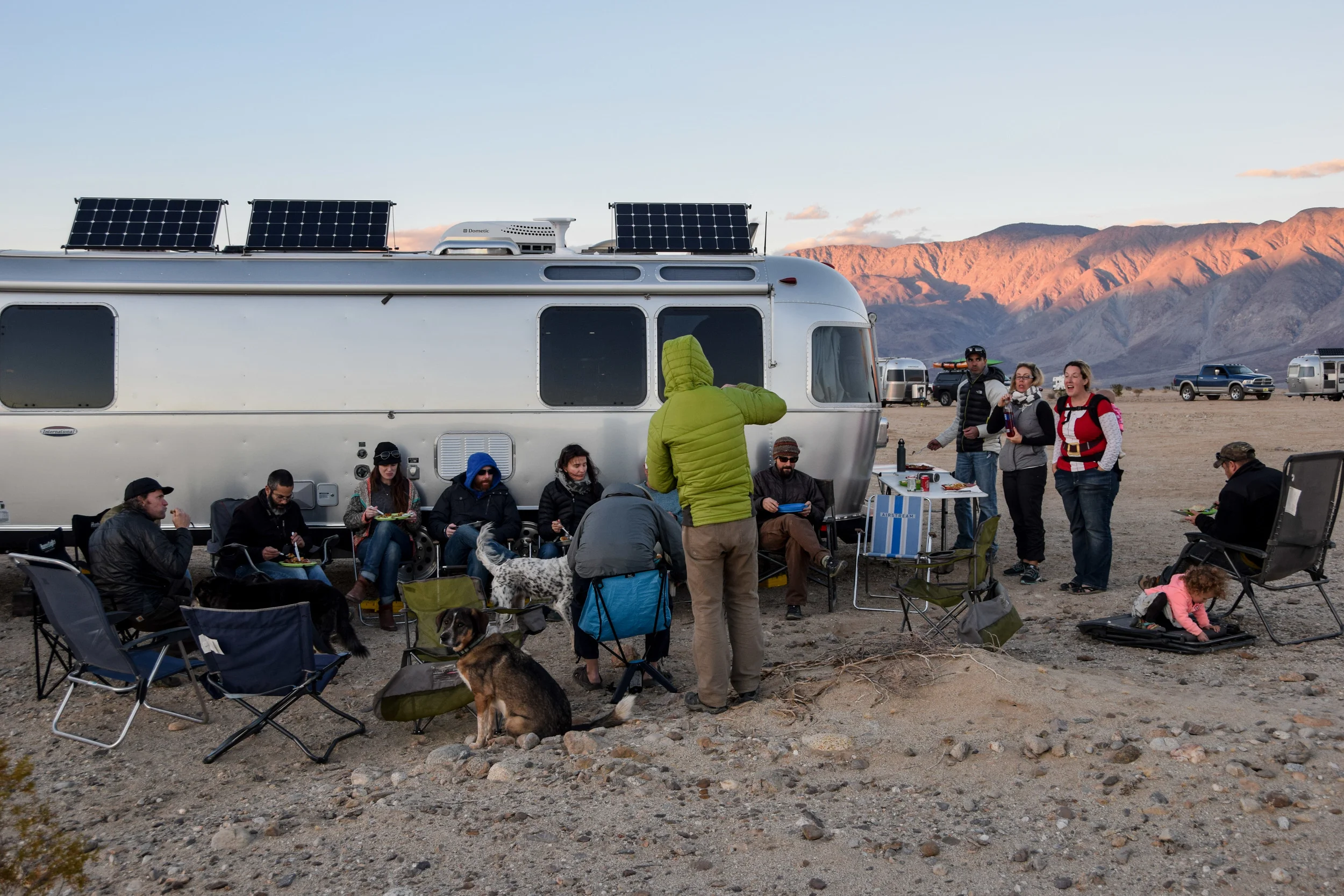 Making Friends At Borrego Springs