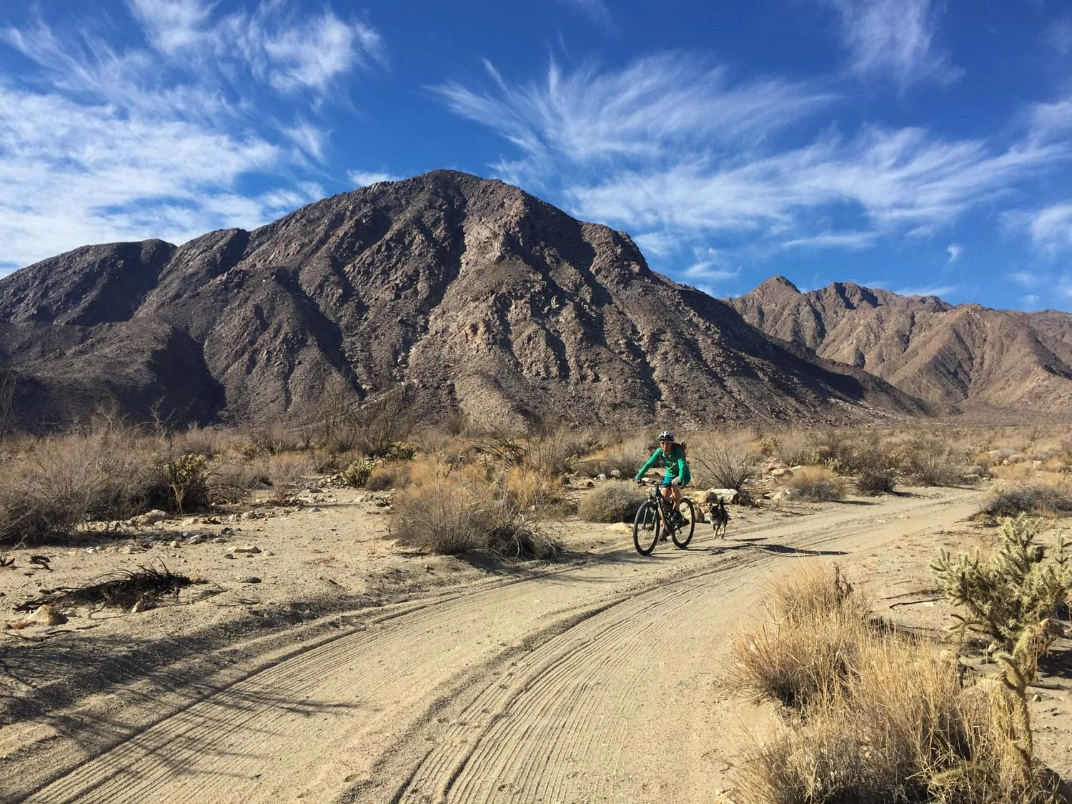Playing In Borrego Springs