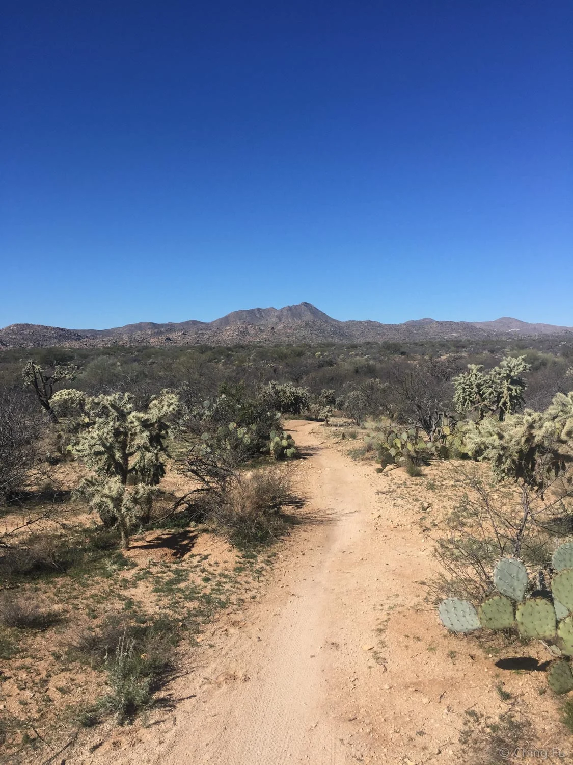 A look at Honeybee trail. The mountains in the background are where we're headed.
