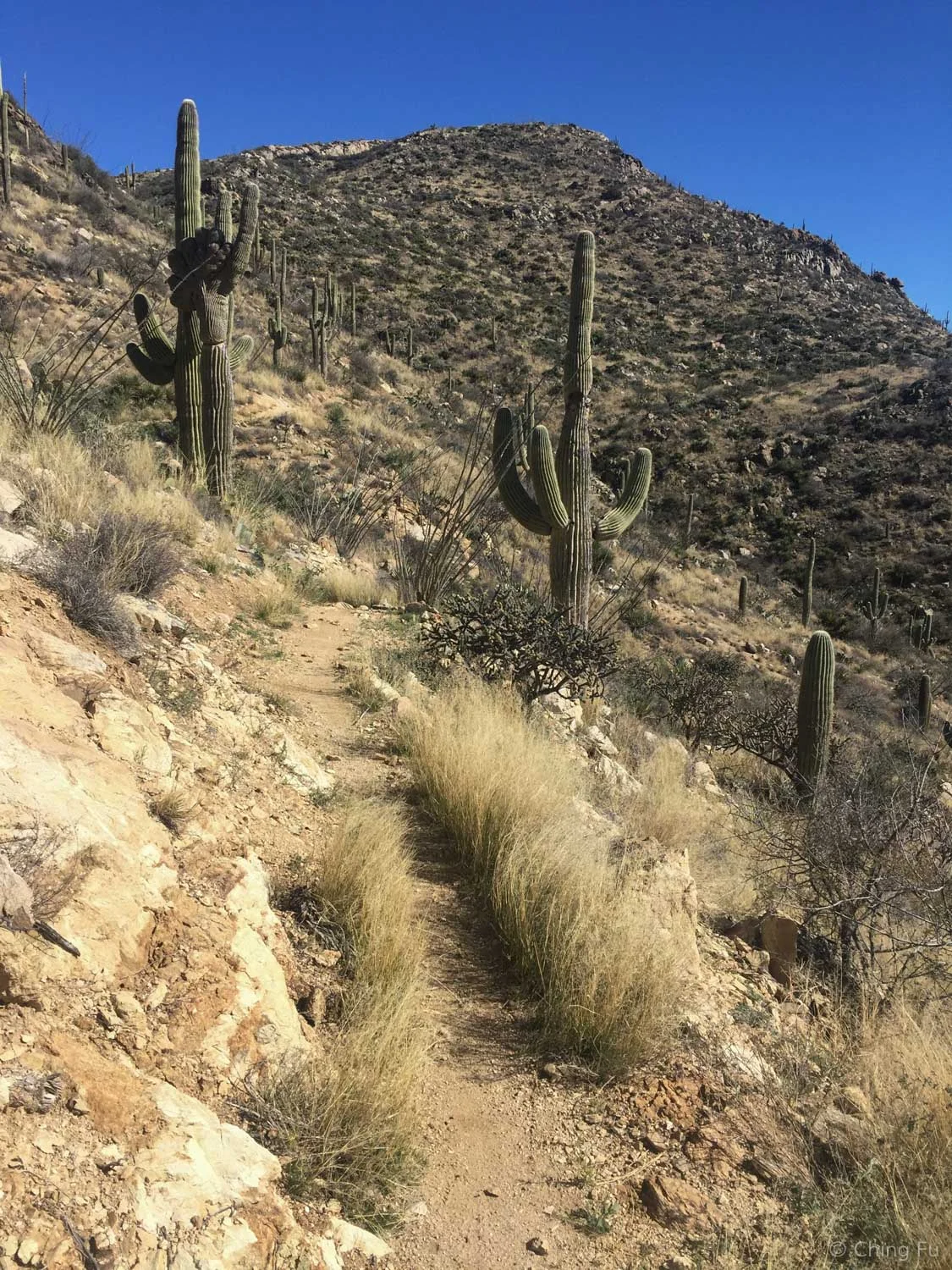 Climbing up Ridgeline Trail.
