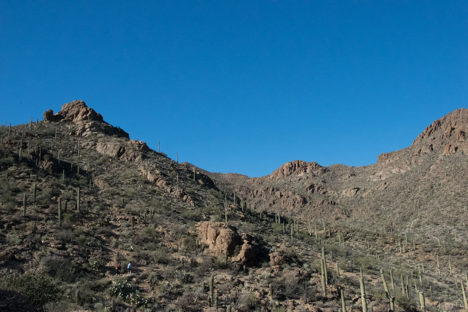 View from the top of Gates Pass.