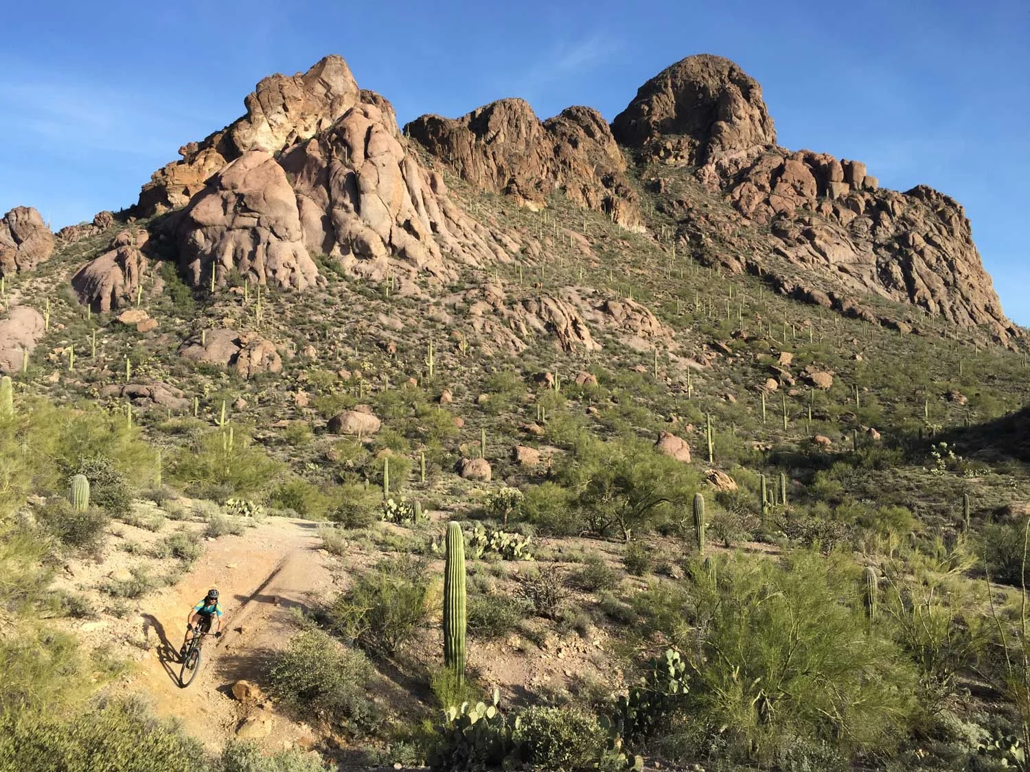 Mountain Biking In Tucson