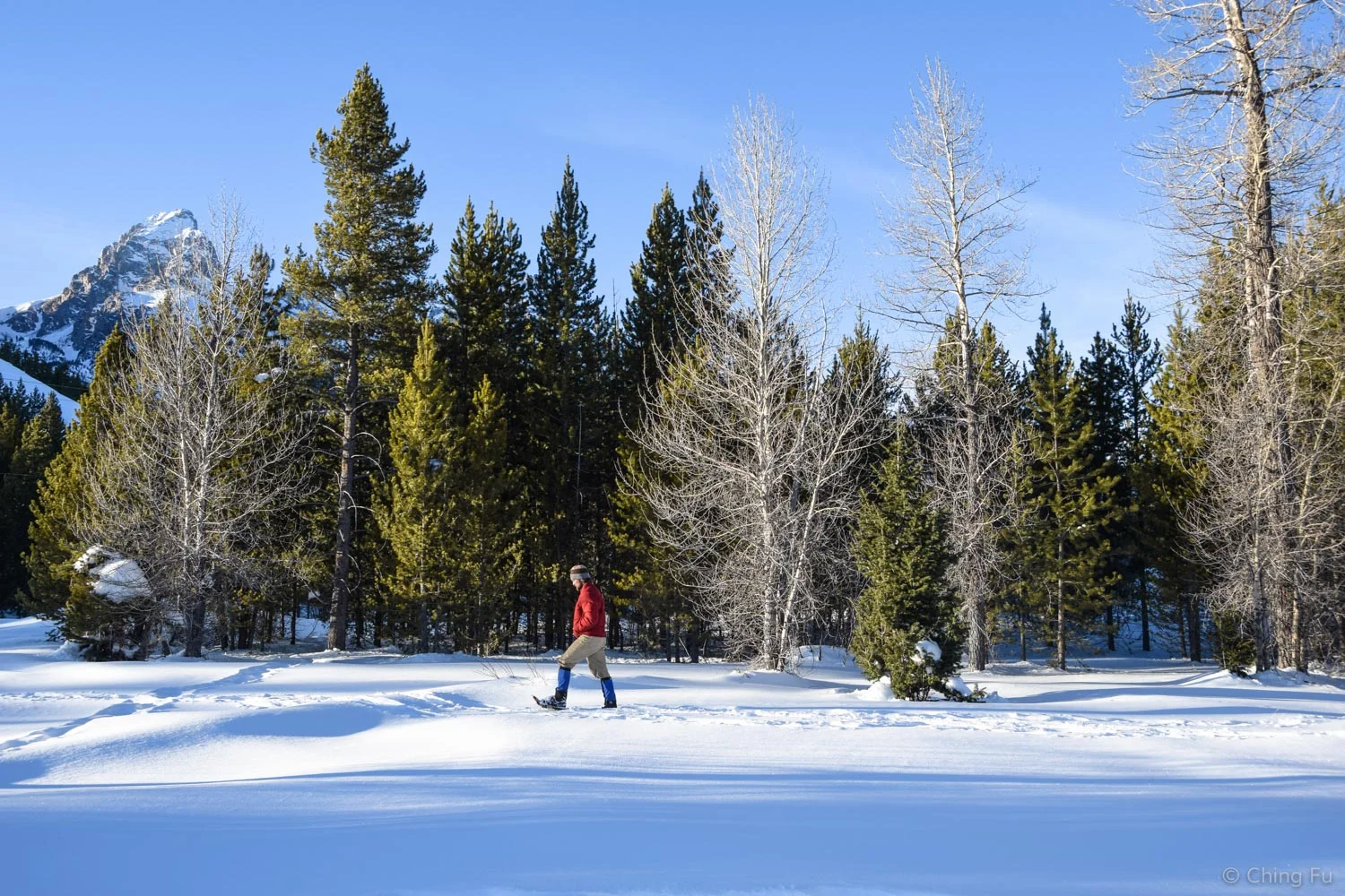 Snowshoeing at Taggart Lake trailhead.