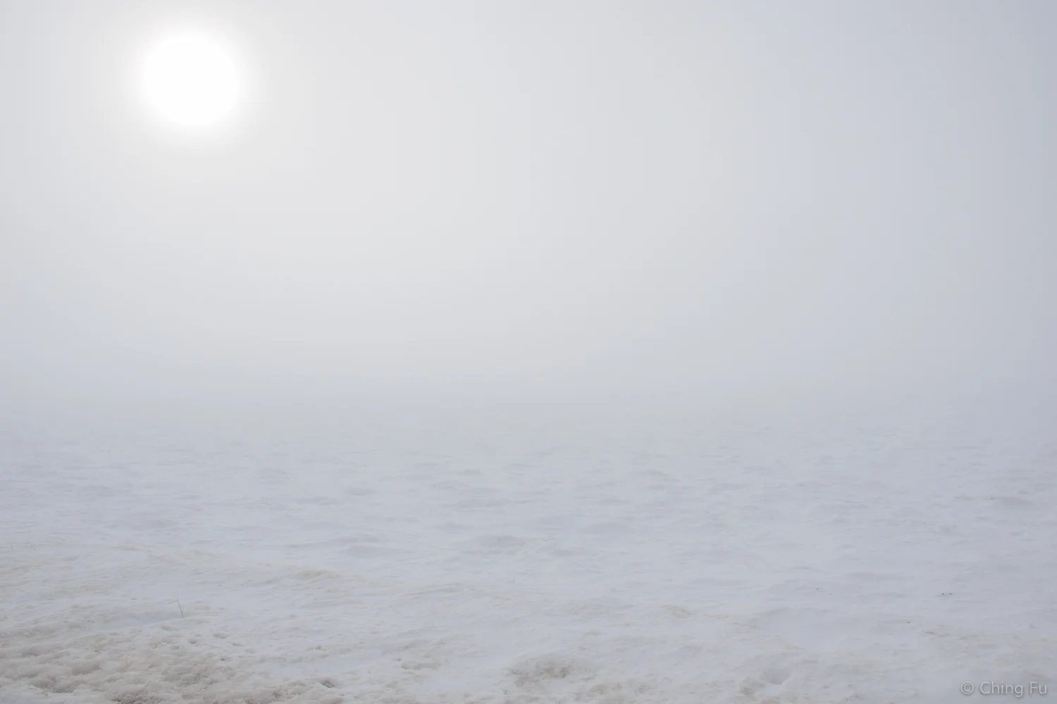 National Elk Refuge