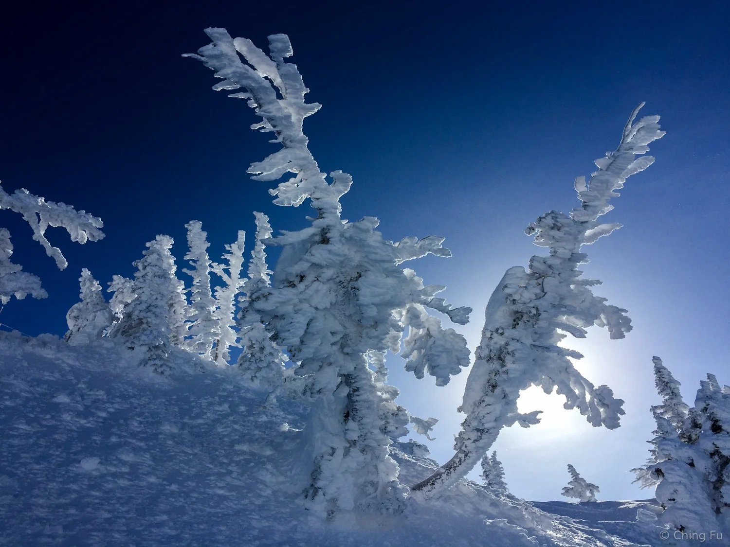 Snow ghosts.