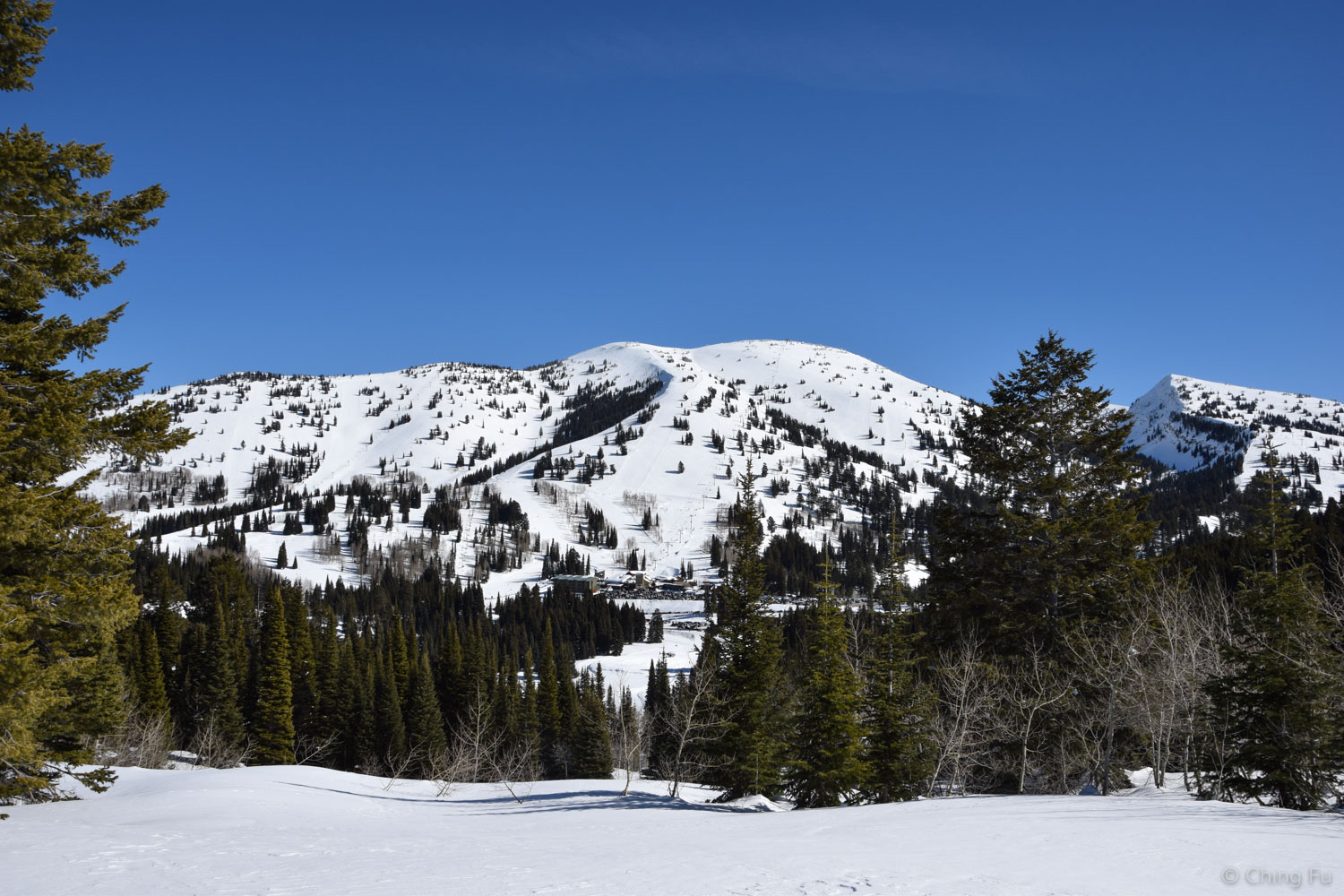 Grand Targhee Resort.