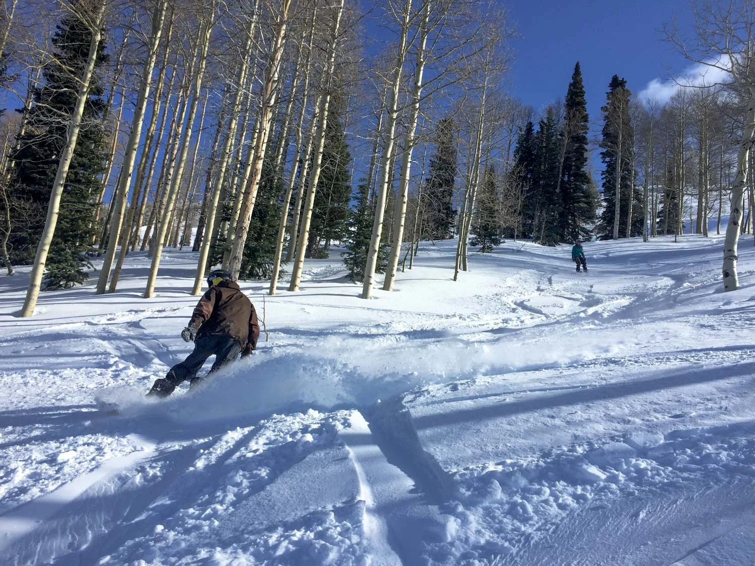 Snow Trip To Jackson