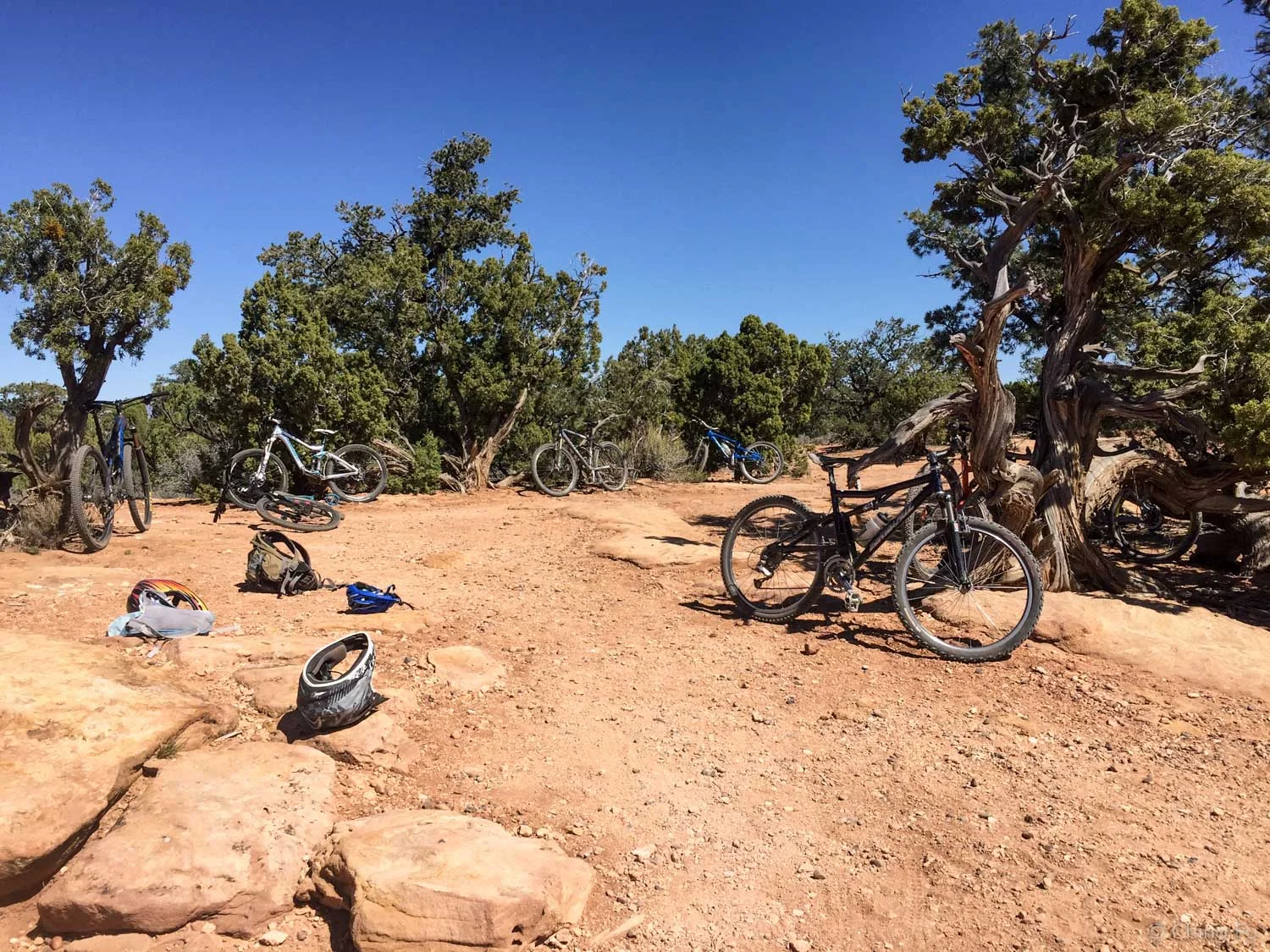 Our myraid mountain bikes at the scenic overlook.