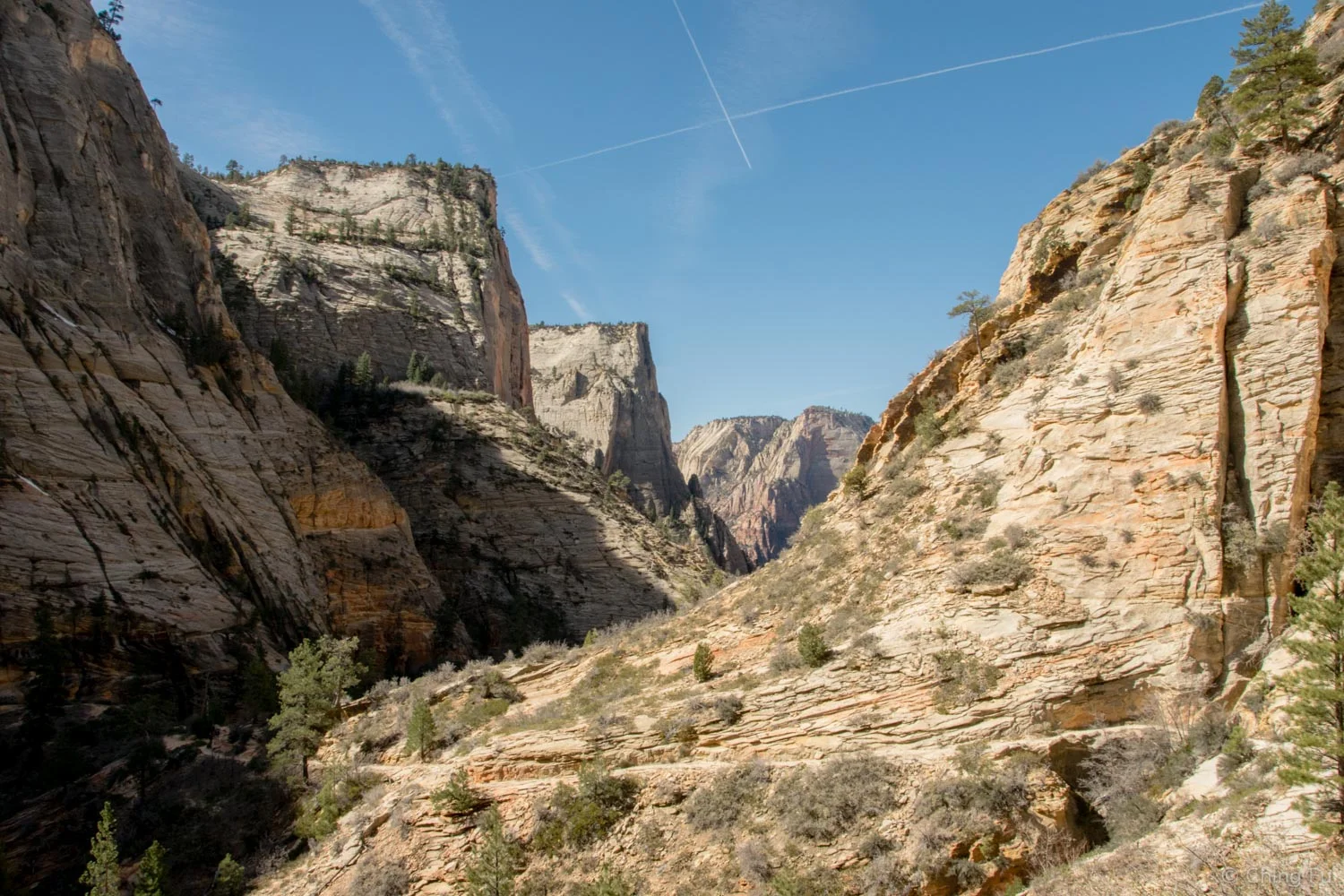 Hiking up to Observation Point.