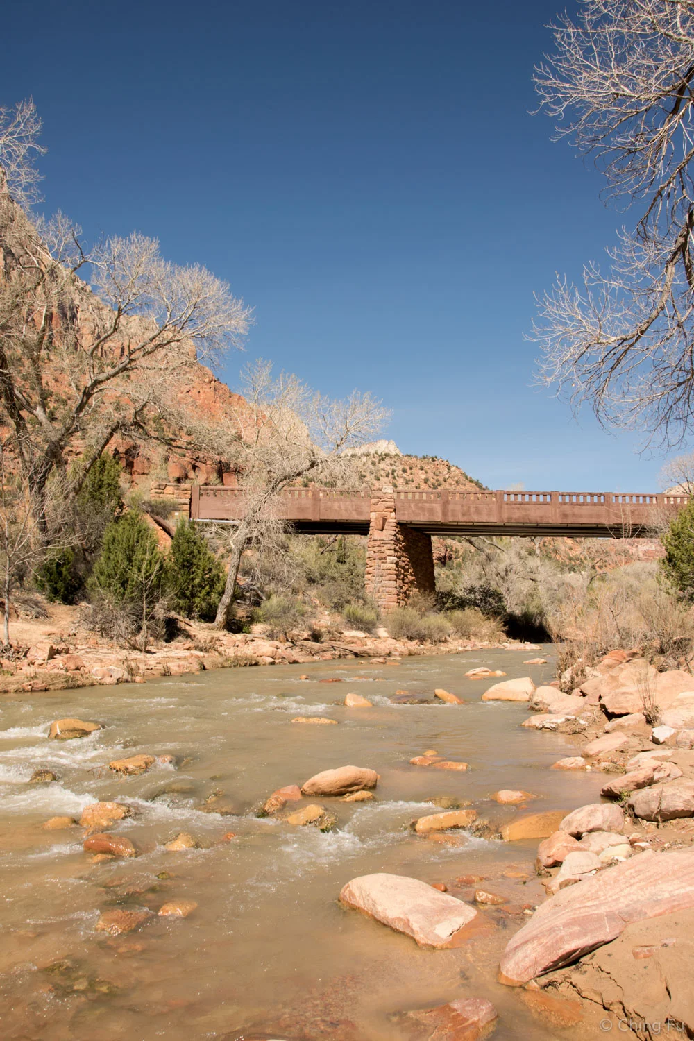 View from Pa'rus Trail of the Virgin River.