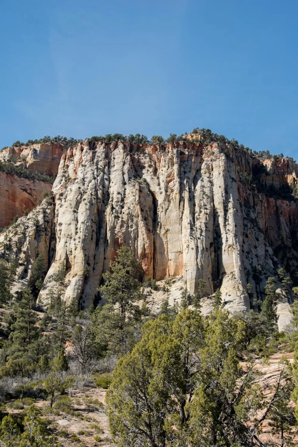 View from Zion-Mount Carmel Highway.