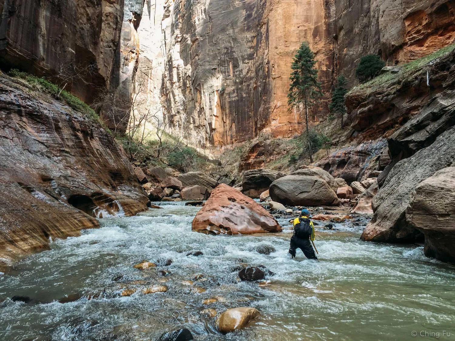 Bill hiking through the Virgin River in the Narrows.