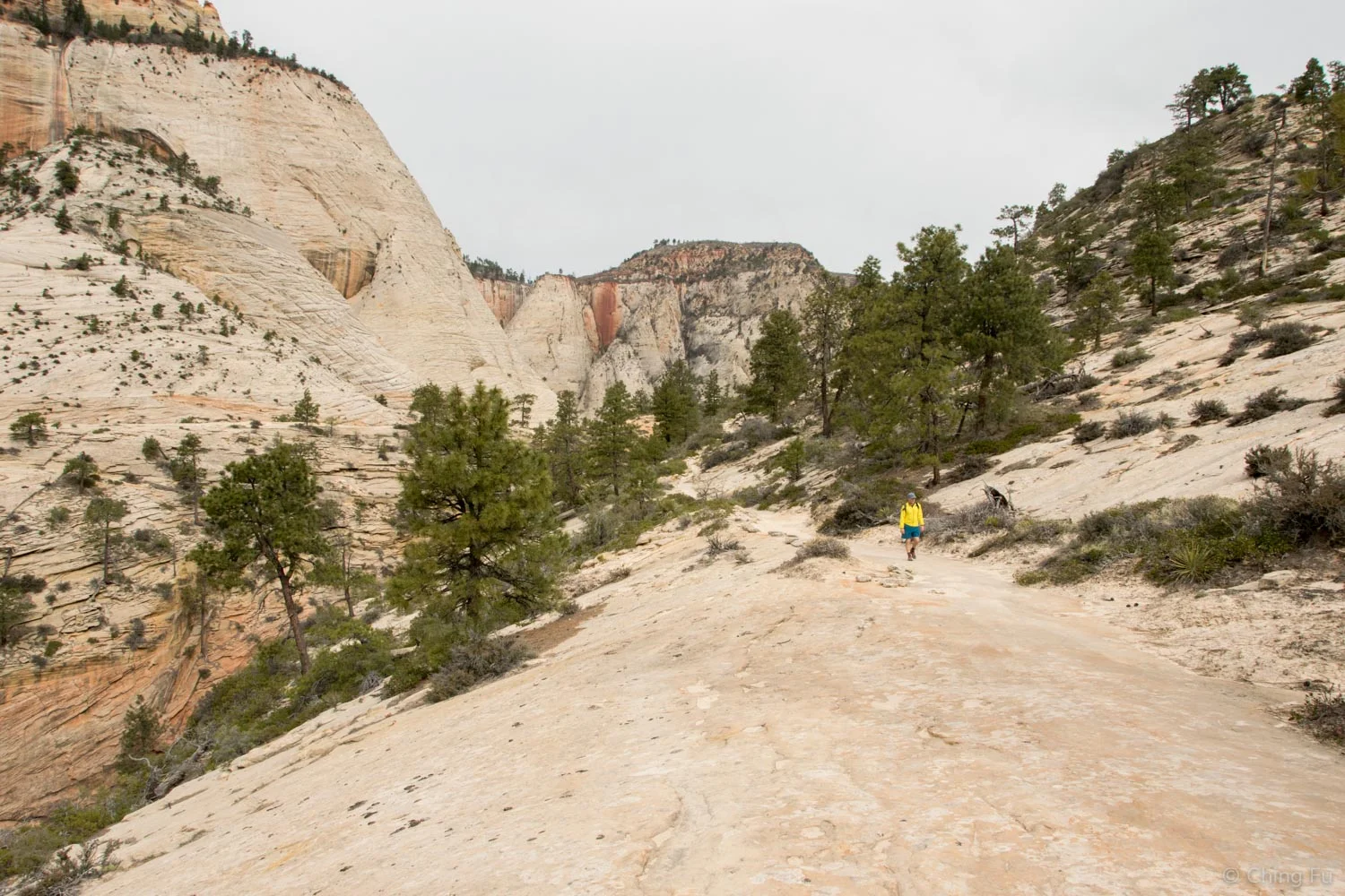 Bill hiking the West Rim Trail.