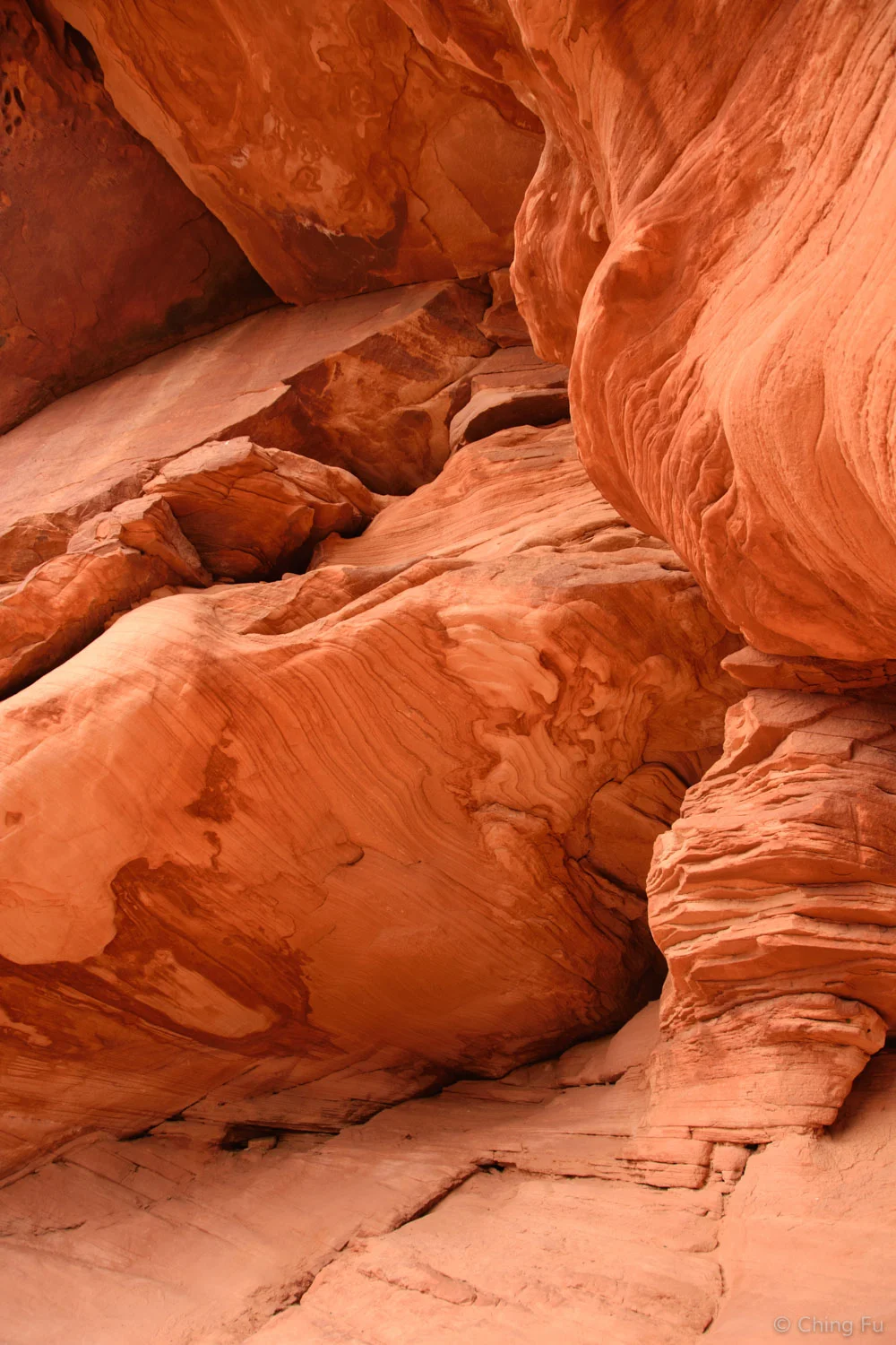 Bright colors on West Rim Trail.