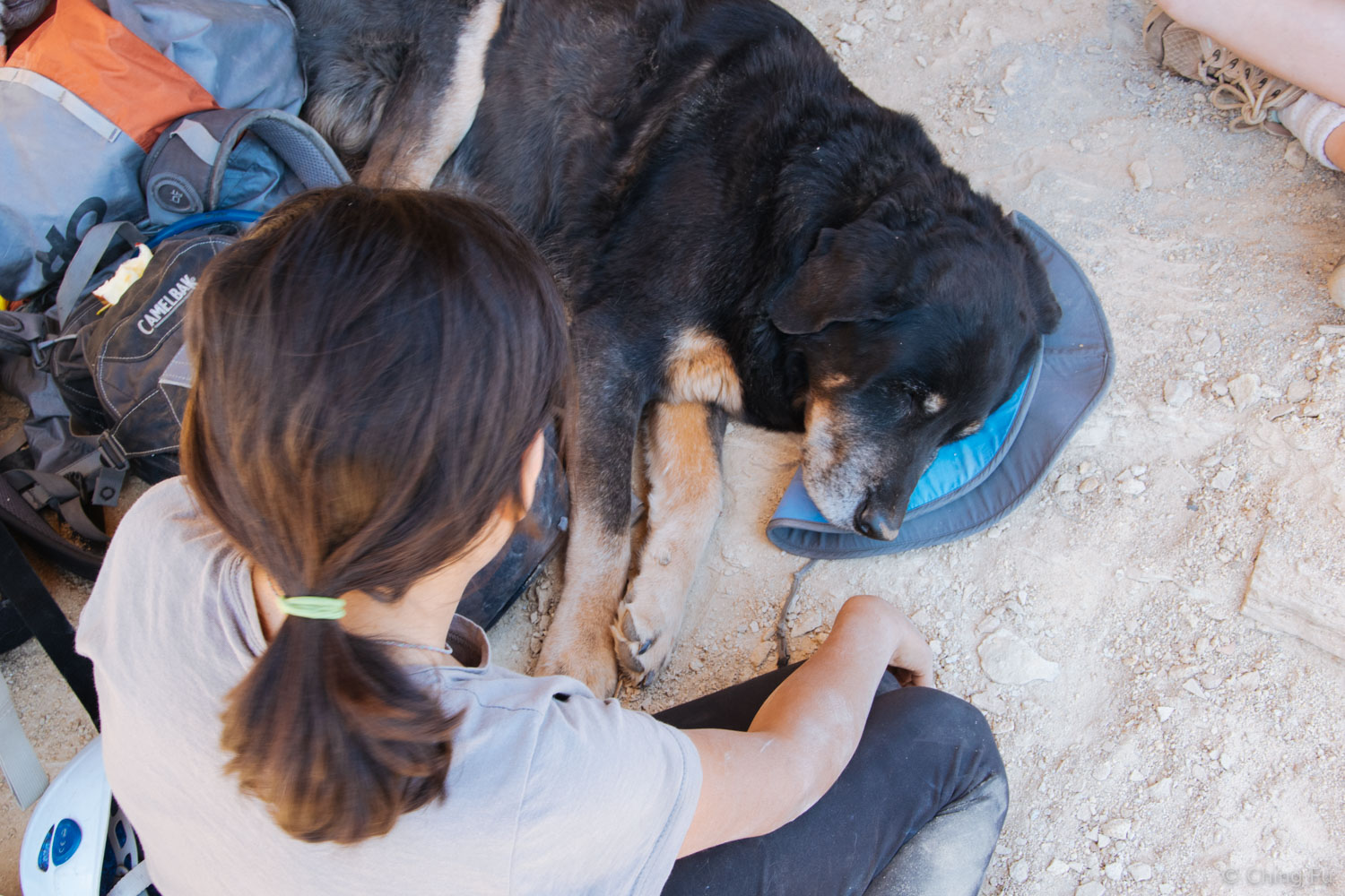  Mathlide wanted to make sure Tybee was comfortable so she gave Tybee her sun hat to use as a pillow. 