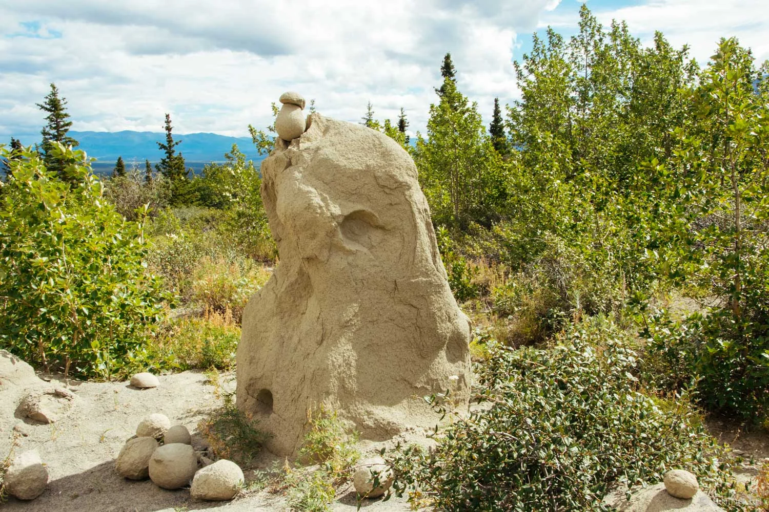Pockmarks that they leave behind once they fall out of the rocks.