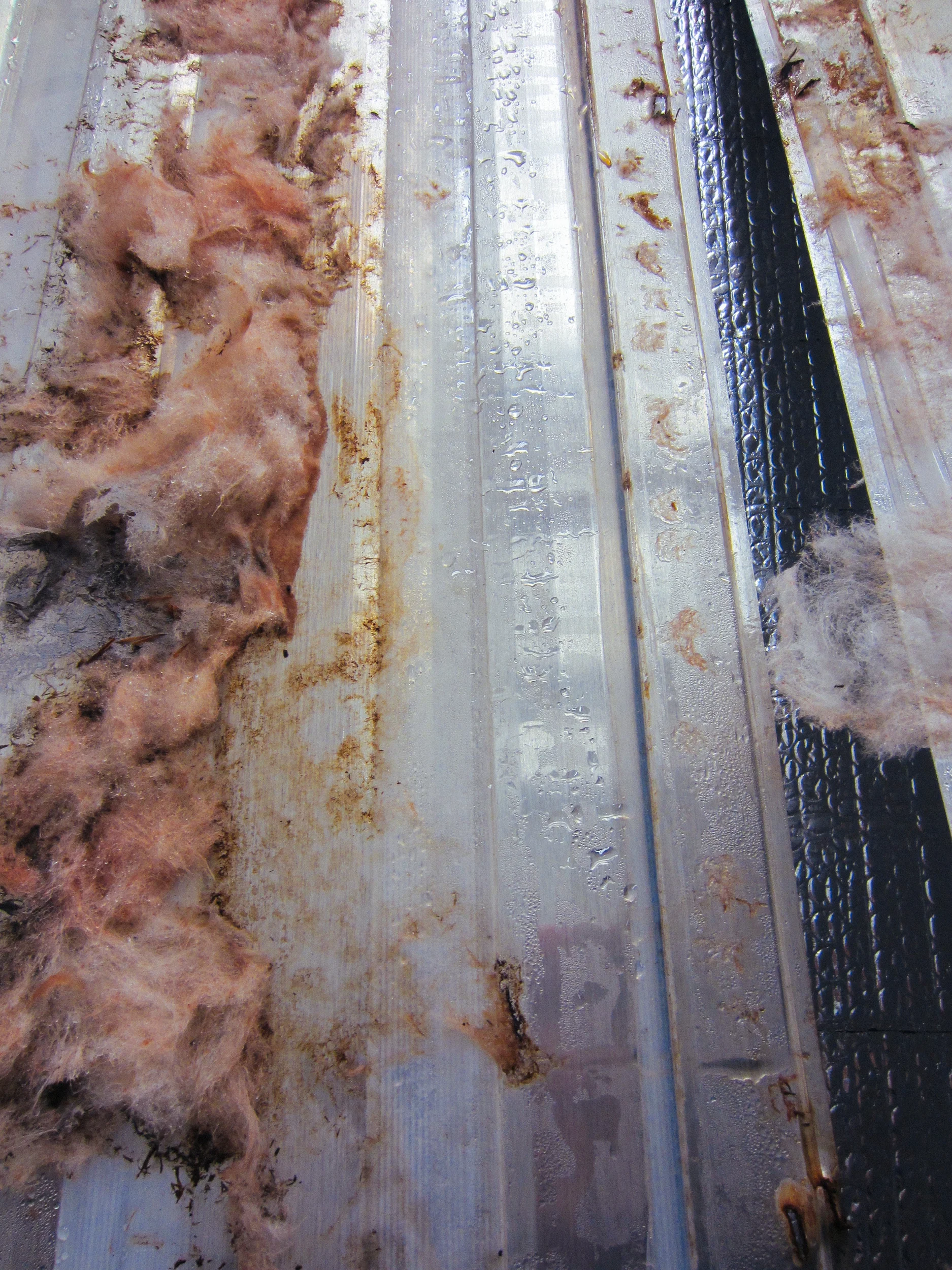 There was moisture behind the pieces of siding we removed.