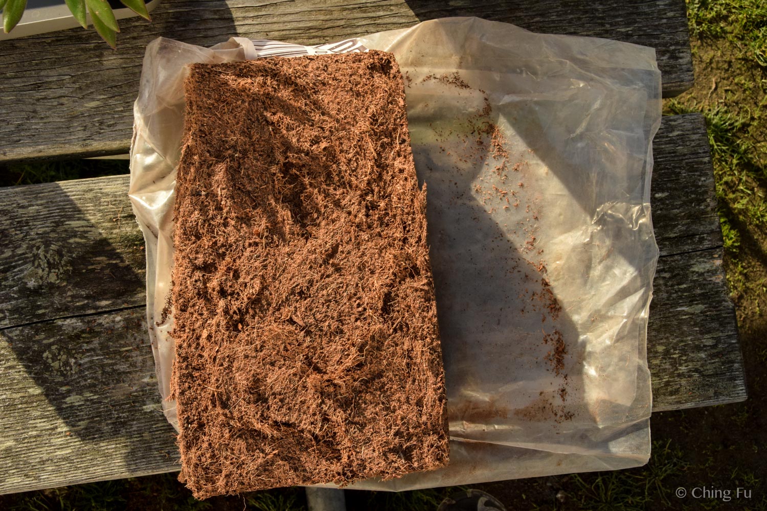 Differences Between Coco Coir Peat and Sphagnum Peat Moss